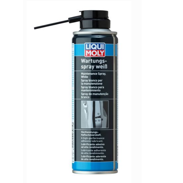 LIQUI MOLY Kilit Bakım Spreyi 250 ml (3075)